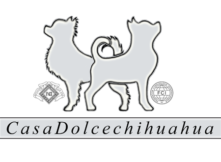 Casa Dolcechihuahua